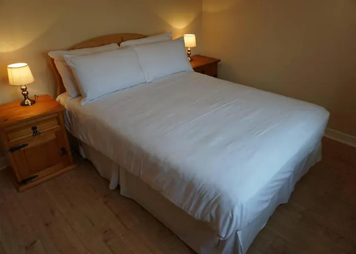 Lignaul Donegal Town